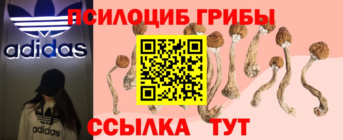 Ливны  Псилоцибиновые грибы Psilocybine cubensis  Вход с VPN 