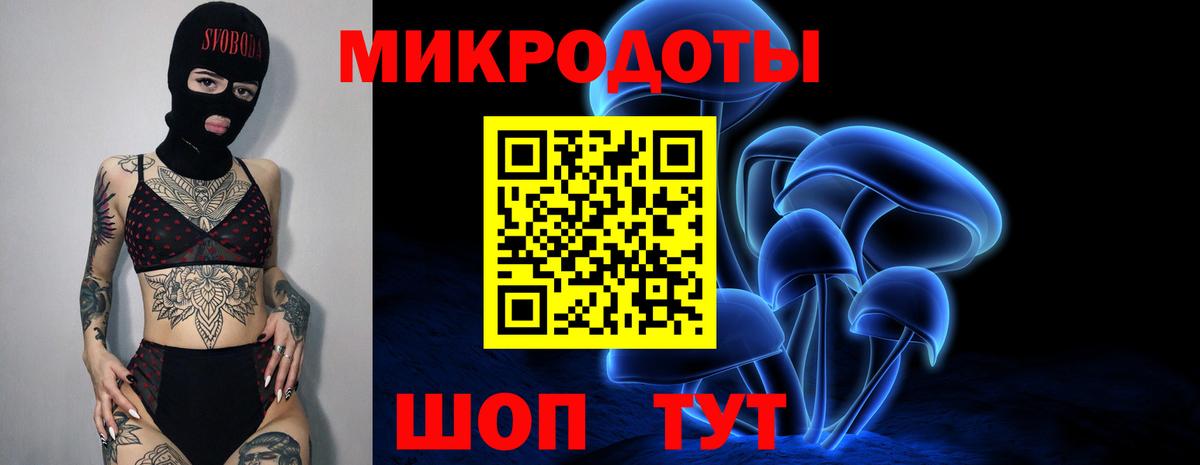 Псилоцибиновые грибы Psilocybine cubensis Ливны